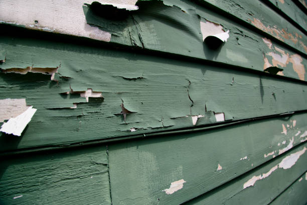Best Residential Junk Removal  in Kana, UT