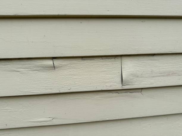 Best Hoarding Cleanup  in Kana, UT